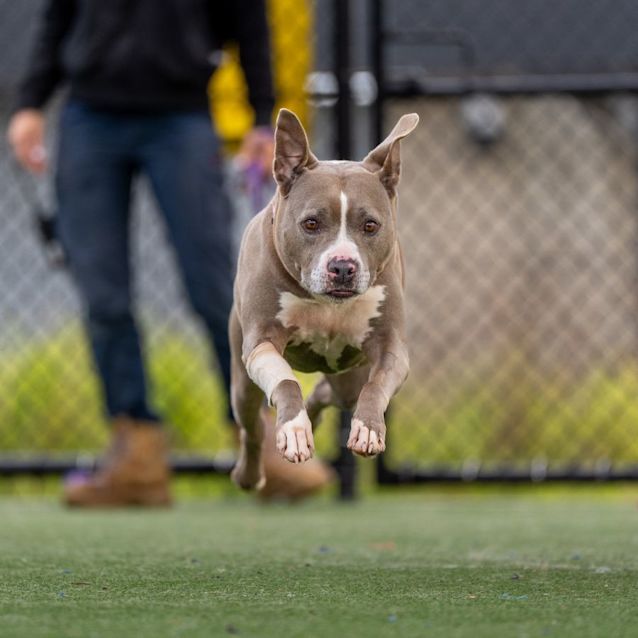 Photo of Milly Imp250