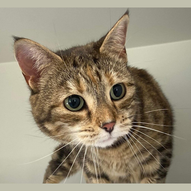 Photo of Milly