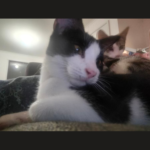 Photo of Mini Butters (And Mini Mika)