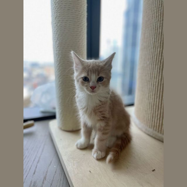 Photo of Dababy