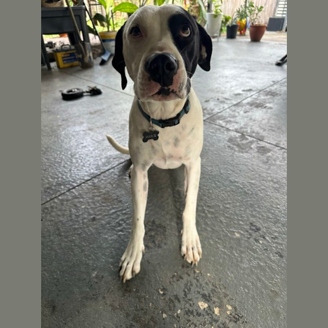 Photo of Raka