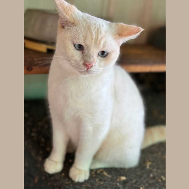 Photo of Red River Whiskey