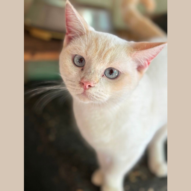 Photo of Red River Whiskey