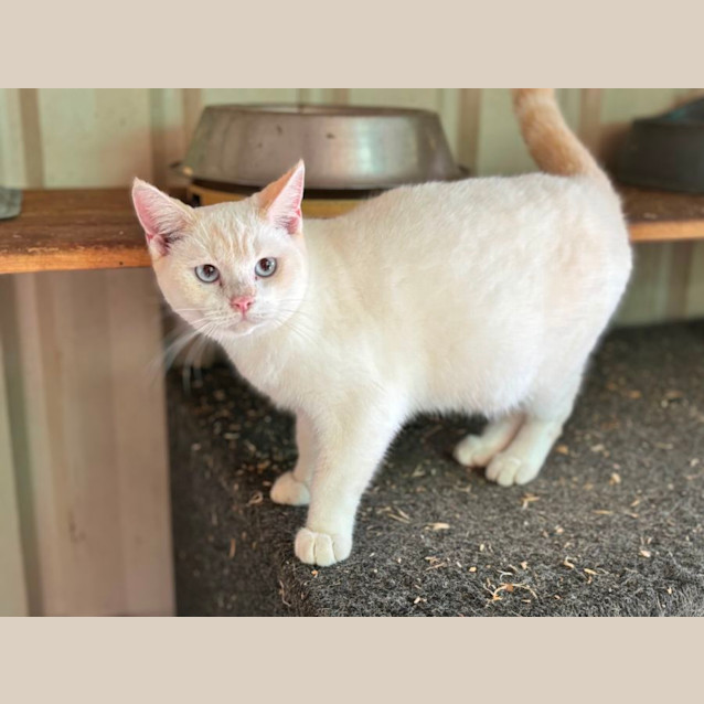 Photo of Red River Whiskey