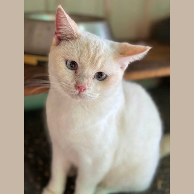 Photo of Red River Whiskey