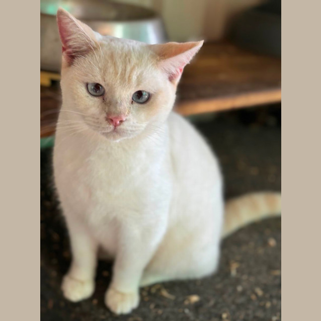 Photo of Red River Whiskey