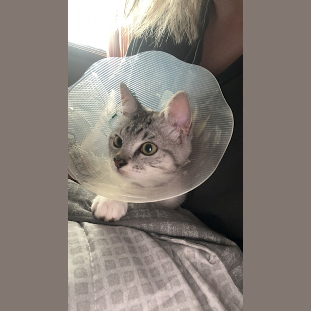 Photo of Finn