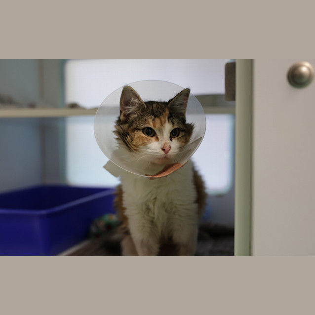 Photo of Kiki