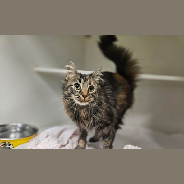 Photo of Luna
