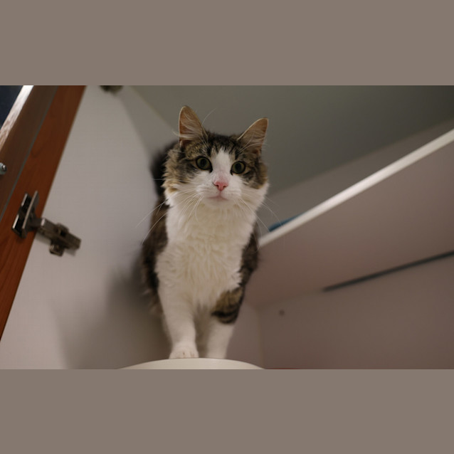 Photo of Eloise