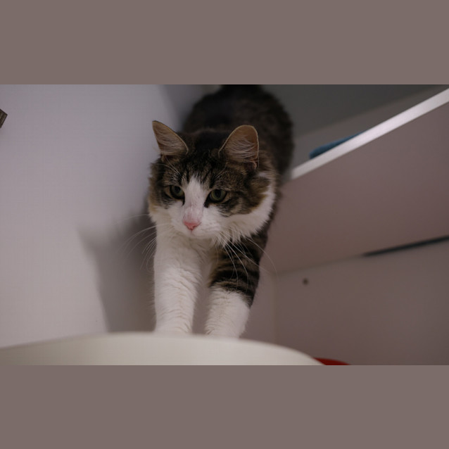 Photo of Eloise