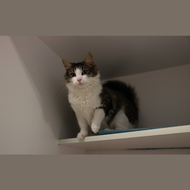 Photo of Eloise