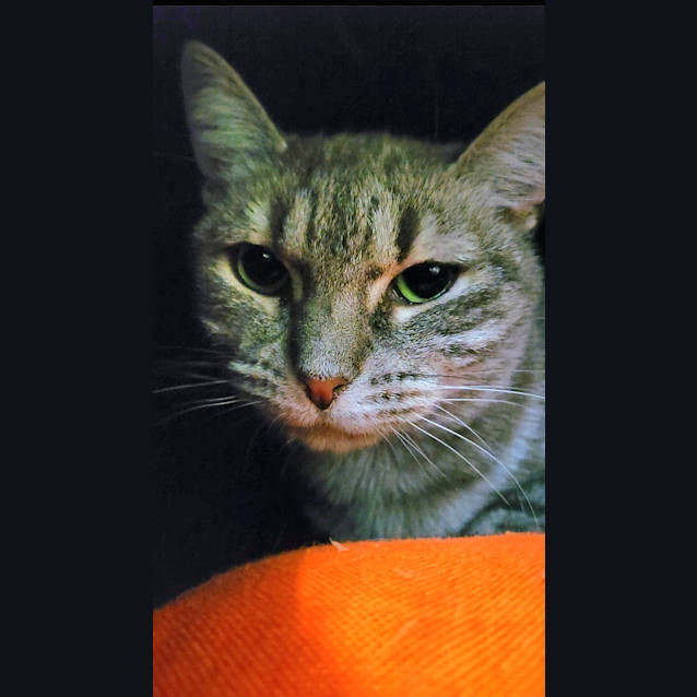 Photo of Dap