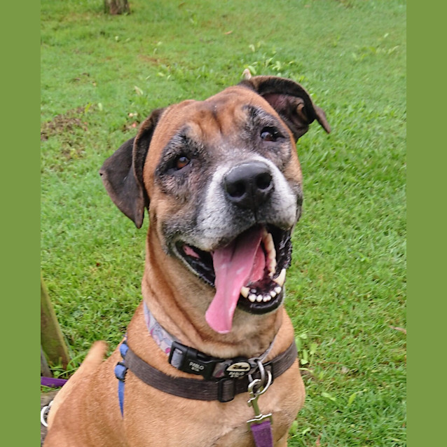Photo of Ruby