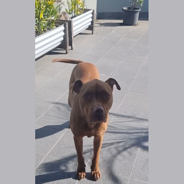 Photo of Ruby