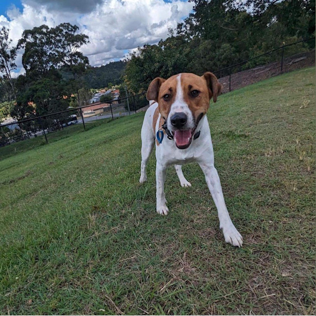 Photo of Fergus
