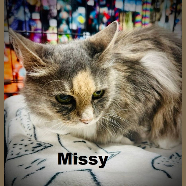 Photo of Missy