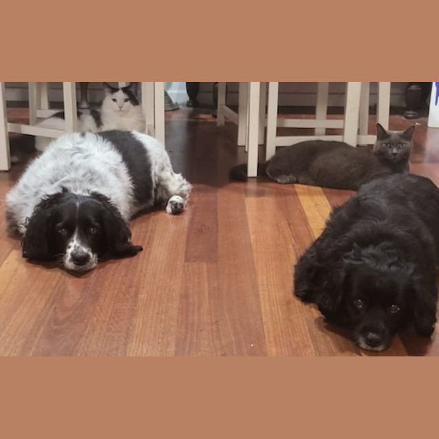 Photo of Brutus And Bella