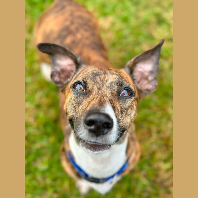Photo of Boo