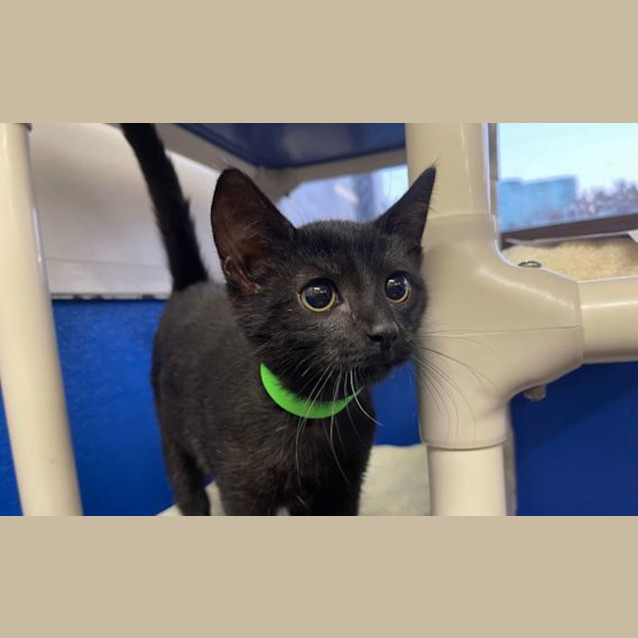 Photo of Kiki