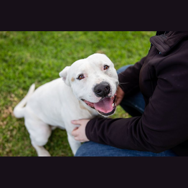Photo of Spot 