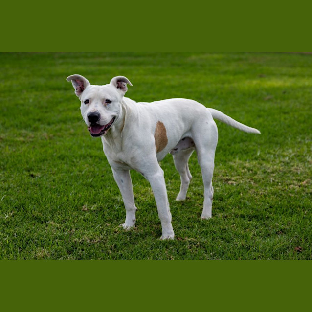 Photo of Spot 