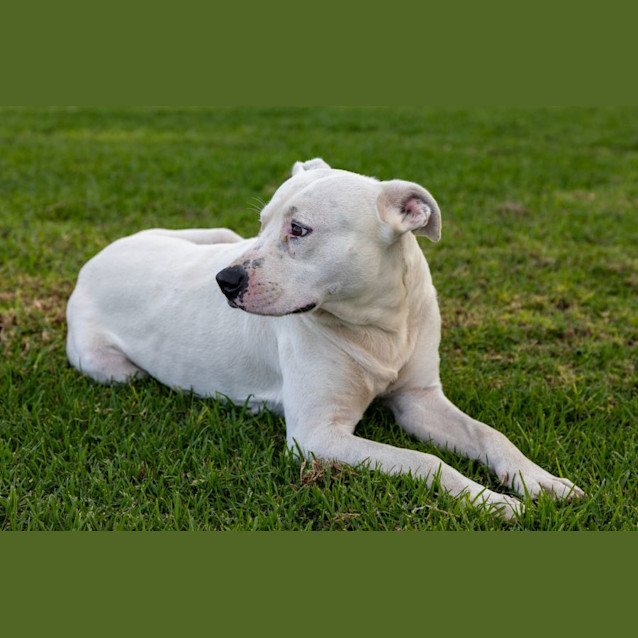 Photo of Spot 
