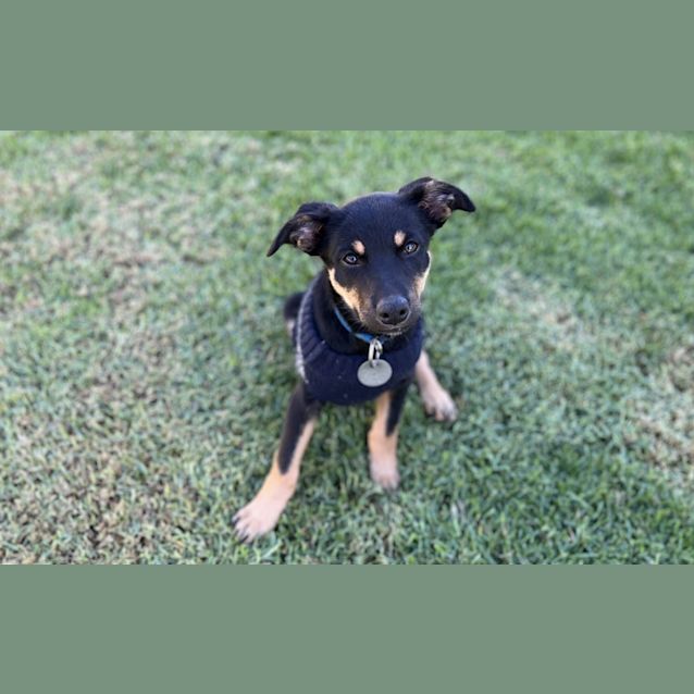 Photo of Lani