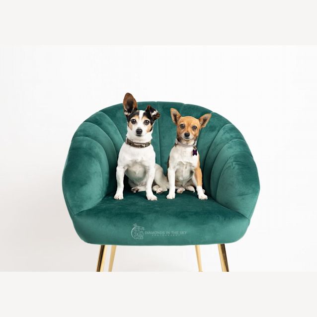 Photo of Zoe & Bella 