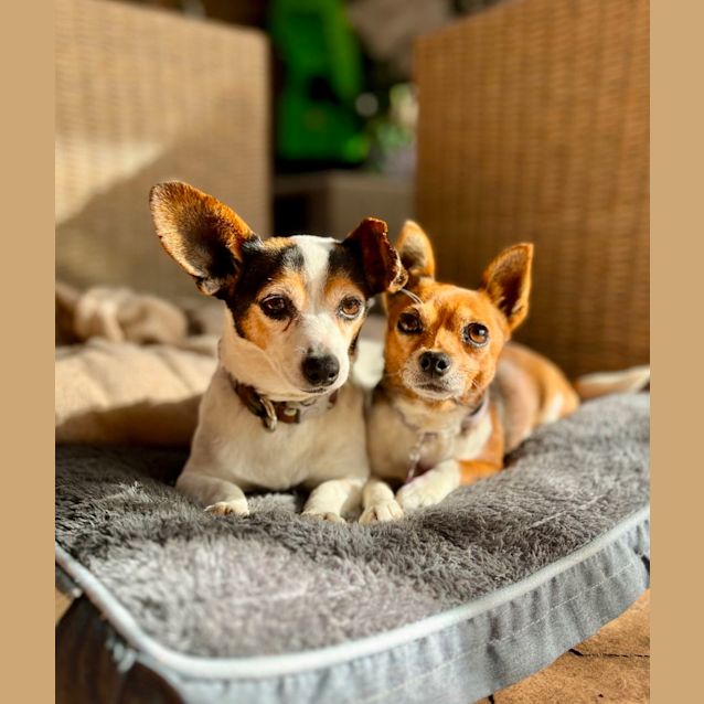 Photo of Zoe & Bella 