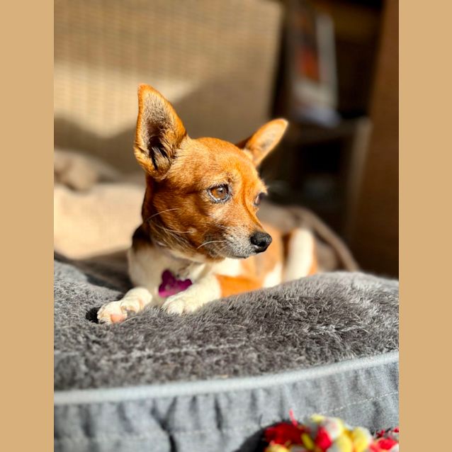 Photo of Zoe & Bella 