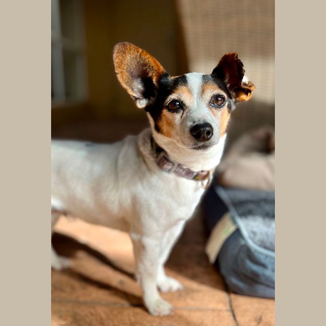 Photo of Zoe & Bella 