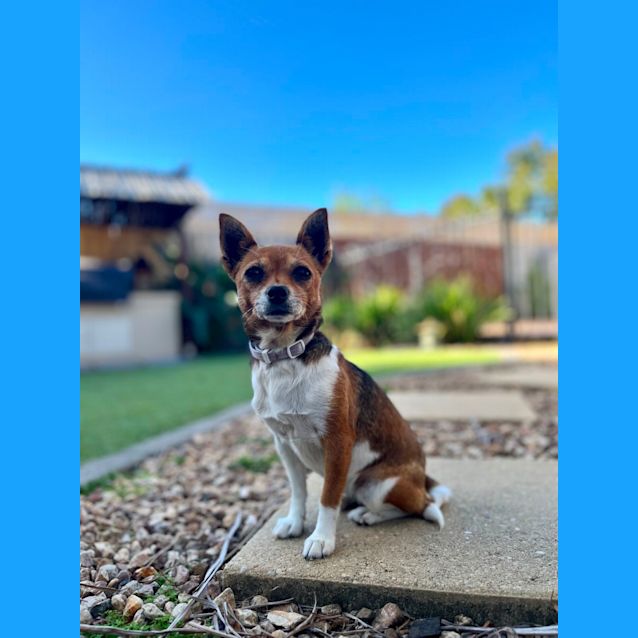 Photo of Zoe & Bella 