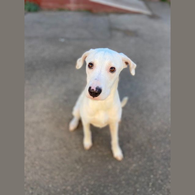 Photo of Little Foot