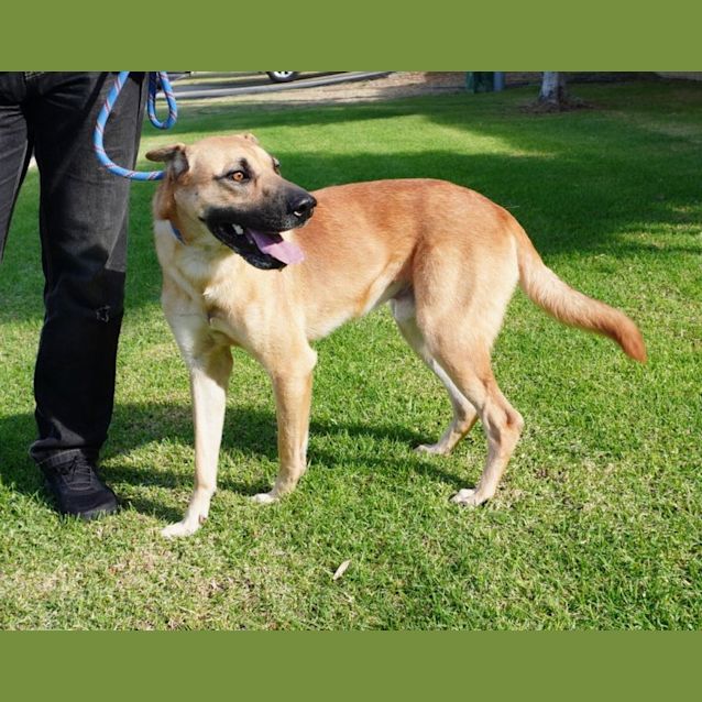 Photo of Shilo