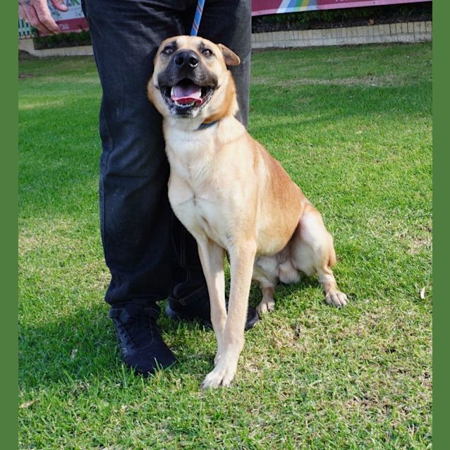 Photo of Shilo