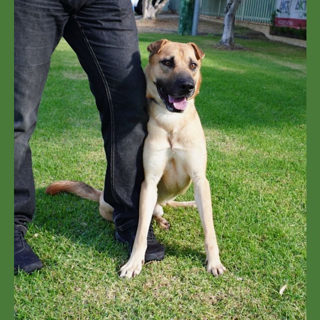Photo of Shilo
