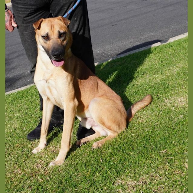 Photo of Shilo
