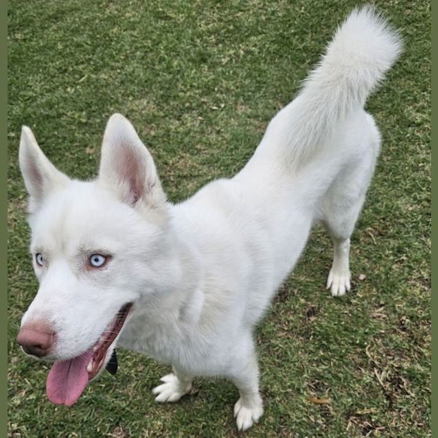 Photo of Ghost