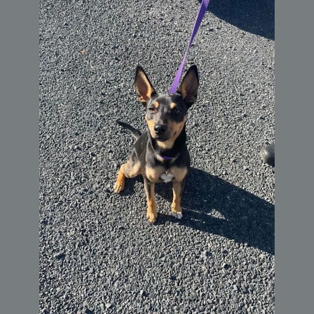 Photo of Tink