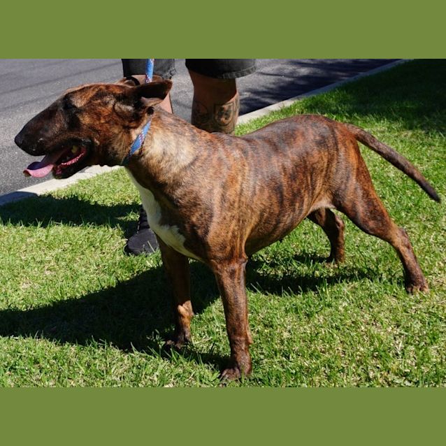 Photo of Athena