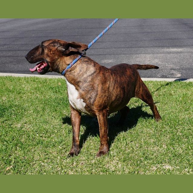Photo of Athena