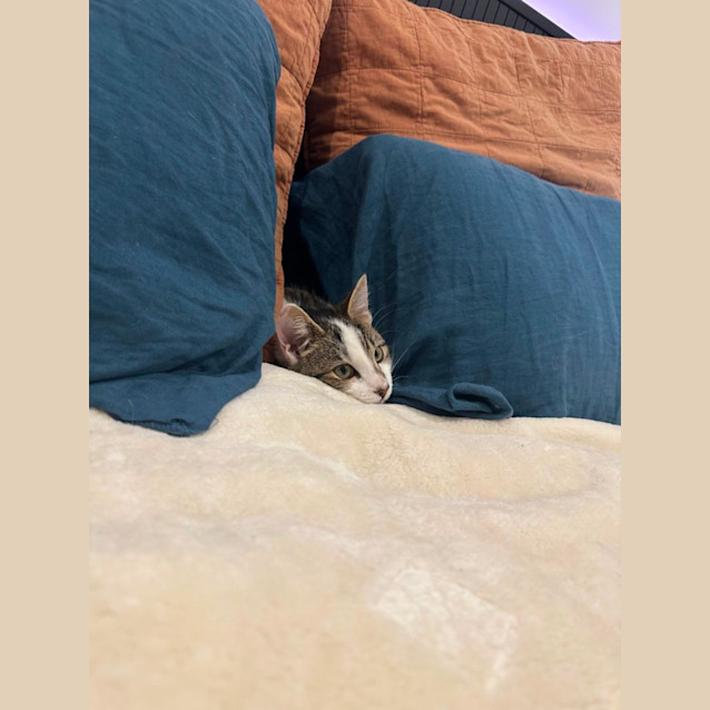 Photo of Lou