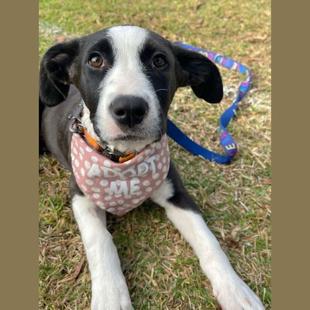 Photo of Dorothy