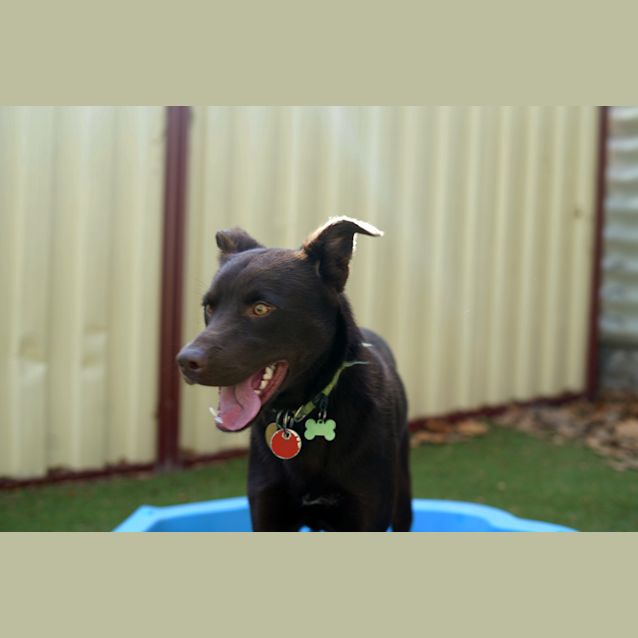 Photo of Axle