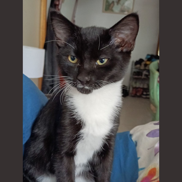Photo of Bobby