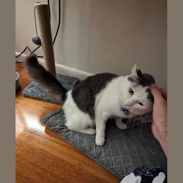 Photo of Robert Cattinson