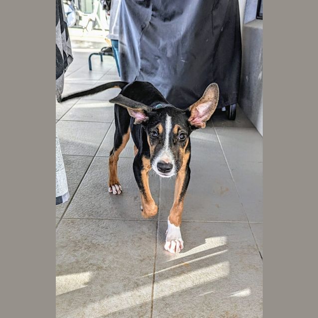 Photo of Lenny