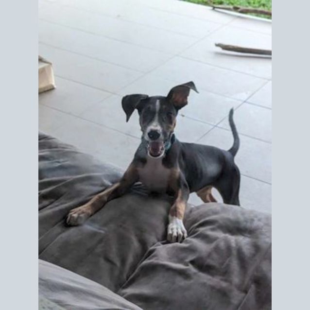 Photo of Lenny