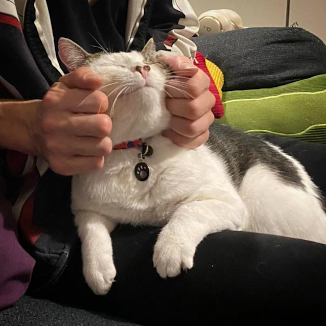 Photo of Max   Located In Melton West